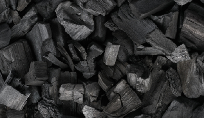 Continuous Charcoal Making Plant